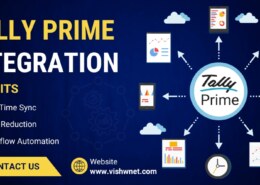 Tally Customization Software for GST, MIS & Automation – Complete Guide
